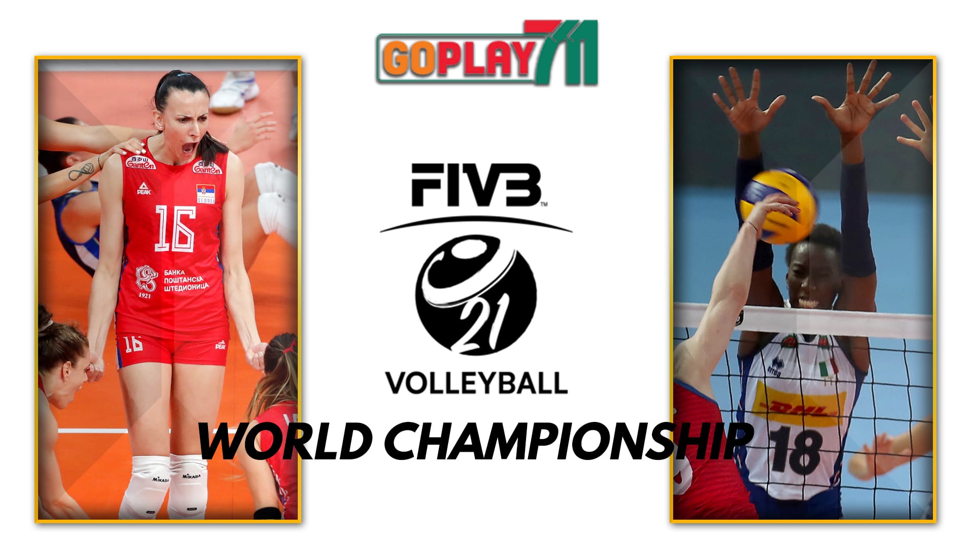 FIVB World Championship