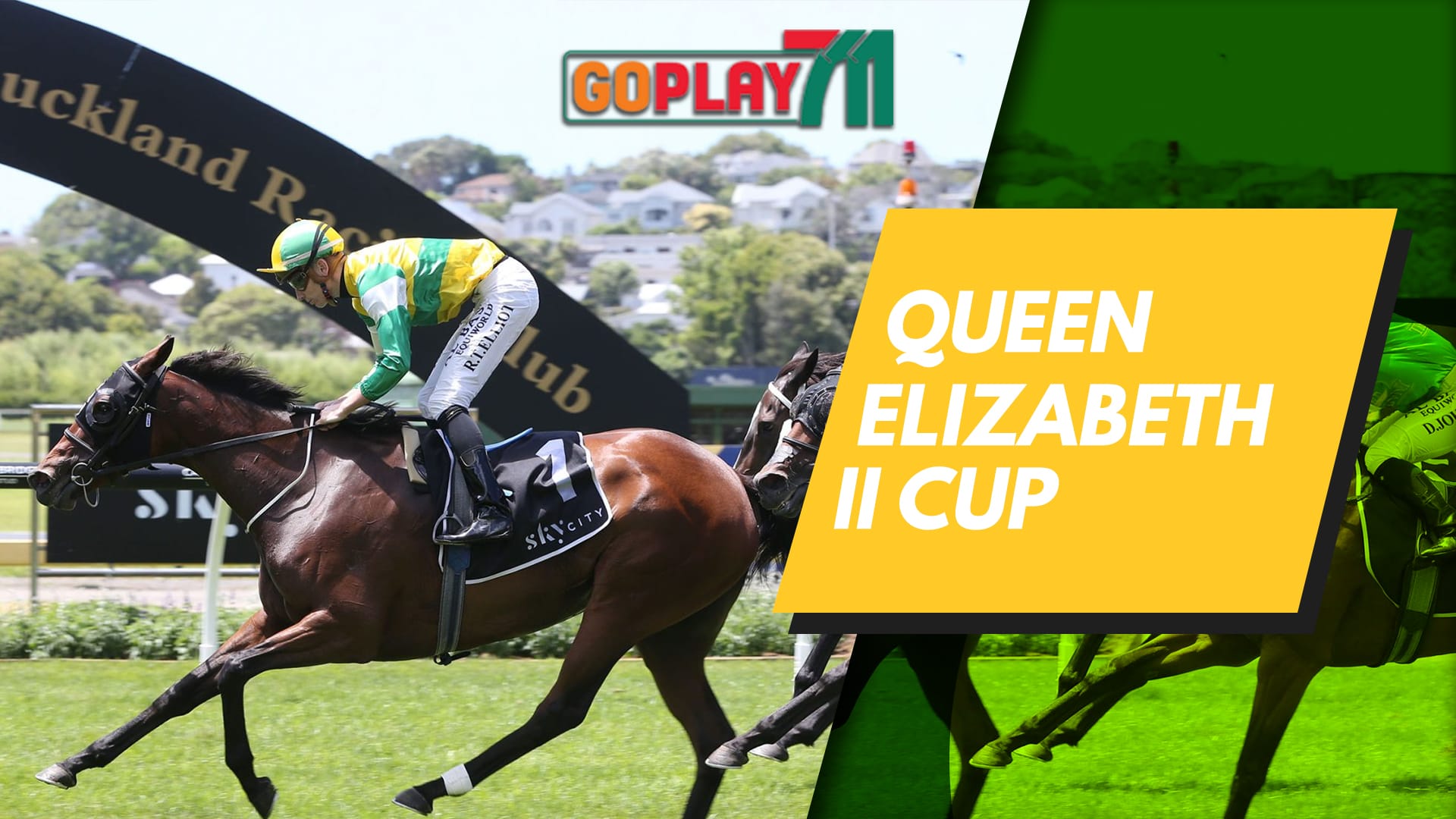 QUEEN ELIZABETH II CUP