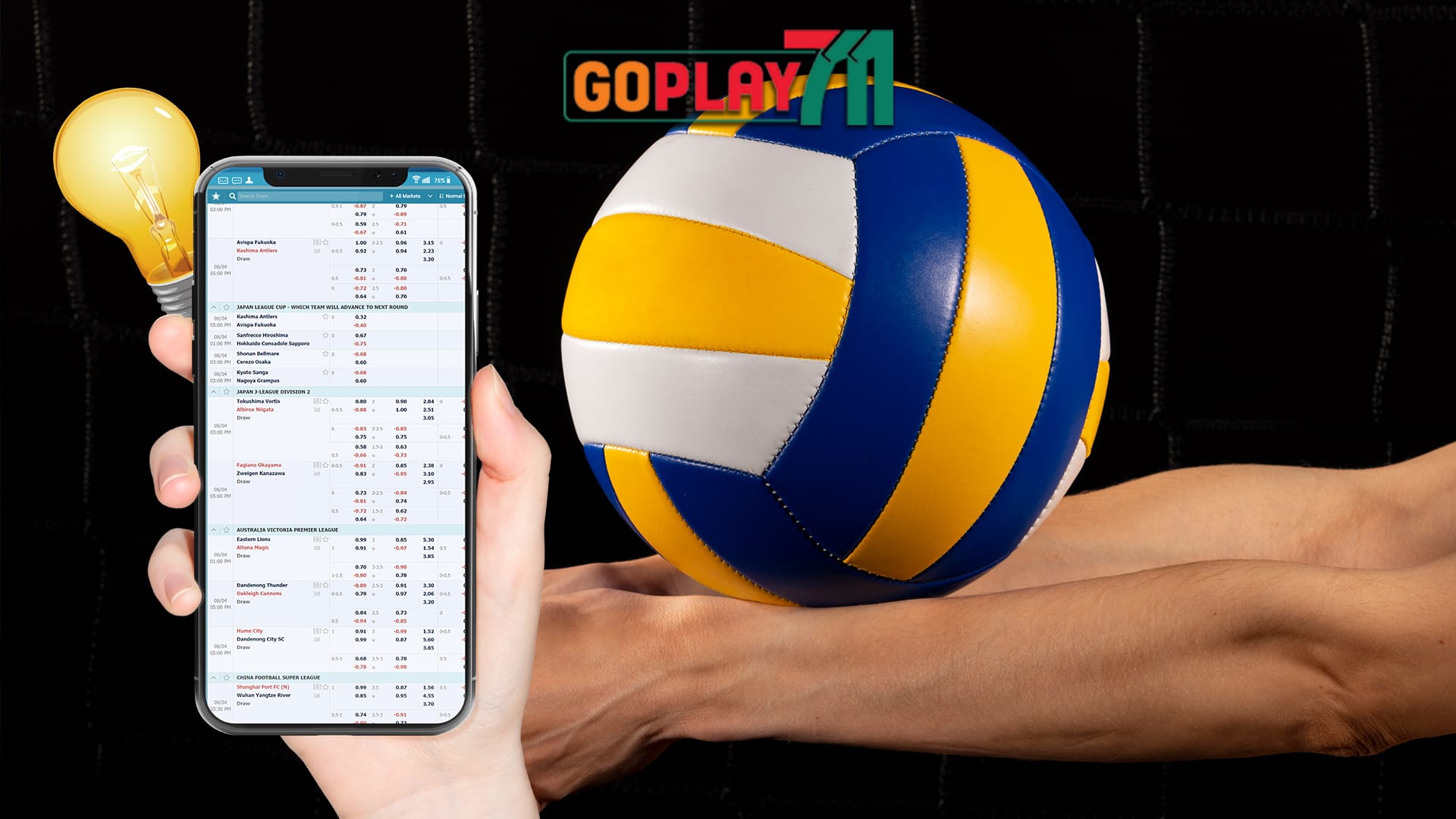 Volleyball Betting