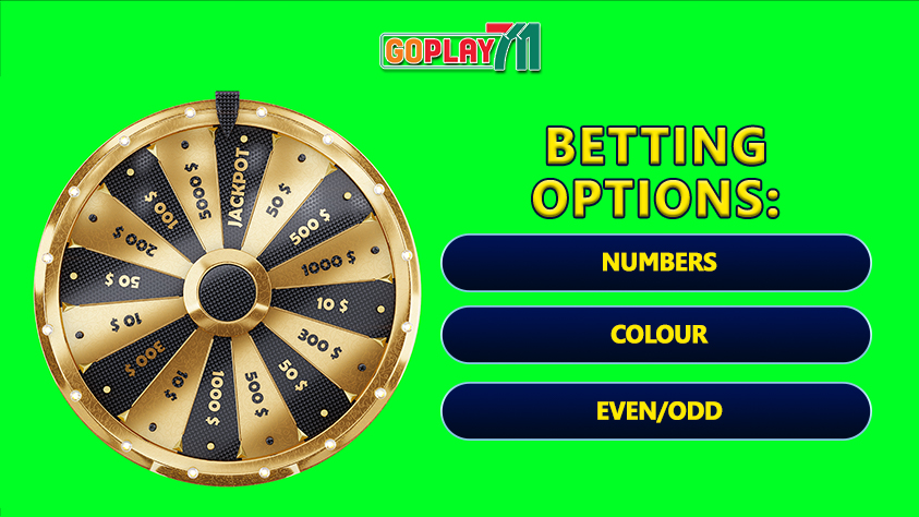 Wheel of Fortune Betting Option to Consider